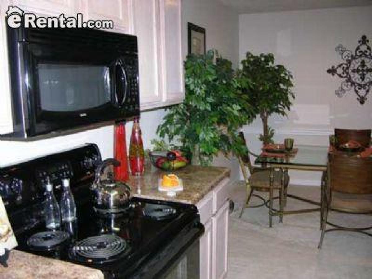 Picture of Apartment For Rent in Montgomery, Texas, United States