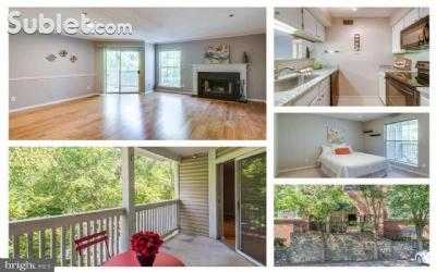 Apartment For Rent in Fairfax, Virginia