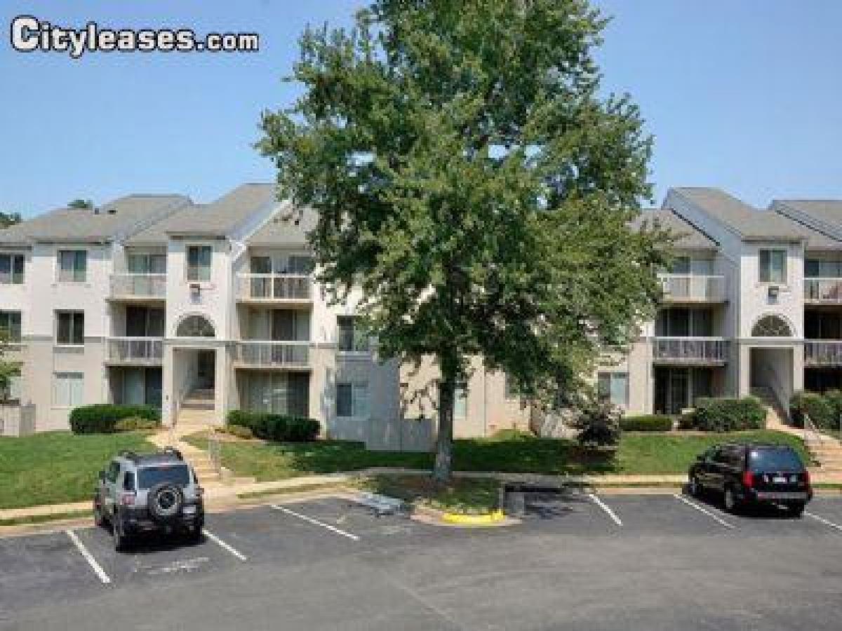 Picture of Apartment For Rent in Fairfax, Virginia, United States