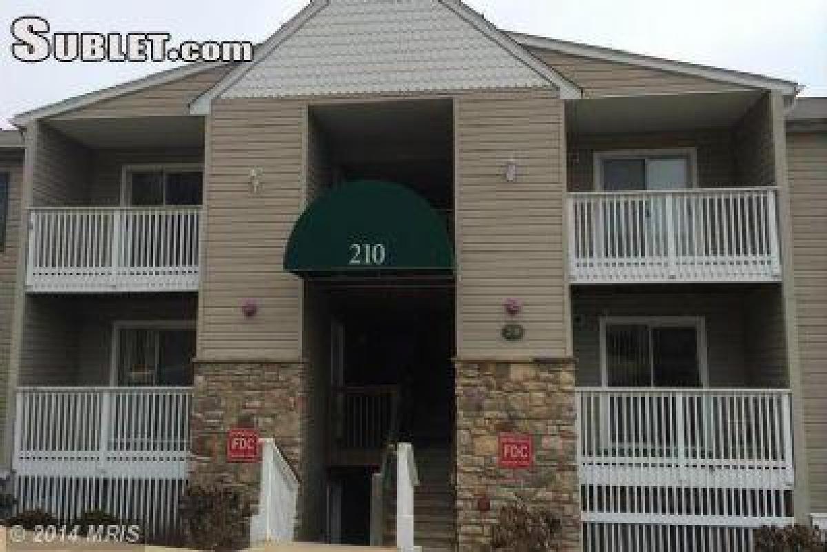 Picture of Apartment For Rent in Stafford, Virginia, United States