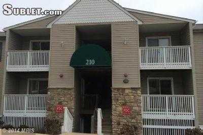 Apartment For Rent in Stafford, Virginia