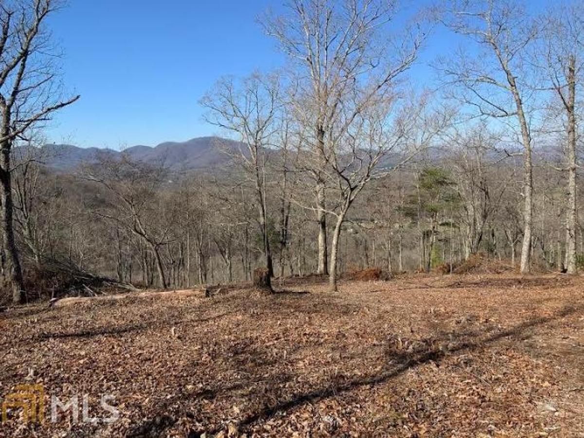 Picture of Residential Land For Sale in Young Harris, Georgia, United States