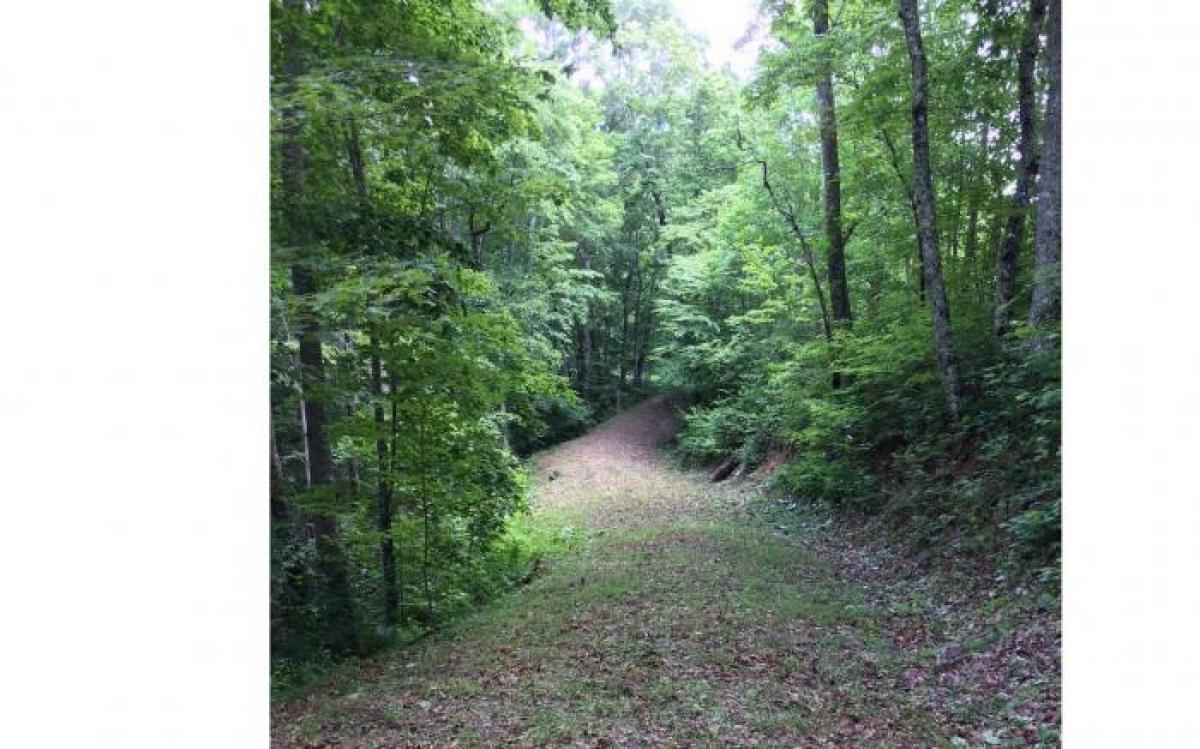 Picture of Residential Land For Sale in Hiawassee, Georgia, United States