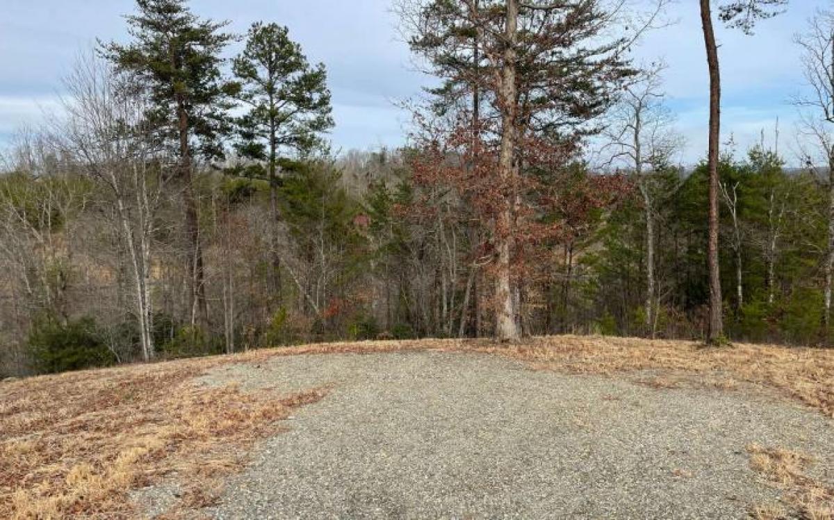 Picture of Residential Land For Sale in Young Harris, Georgia, United States