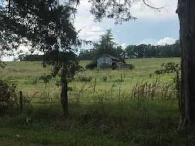 Residential Land For Sale in 