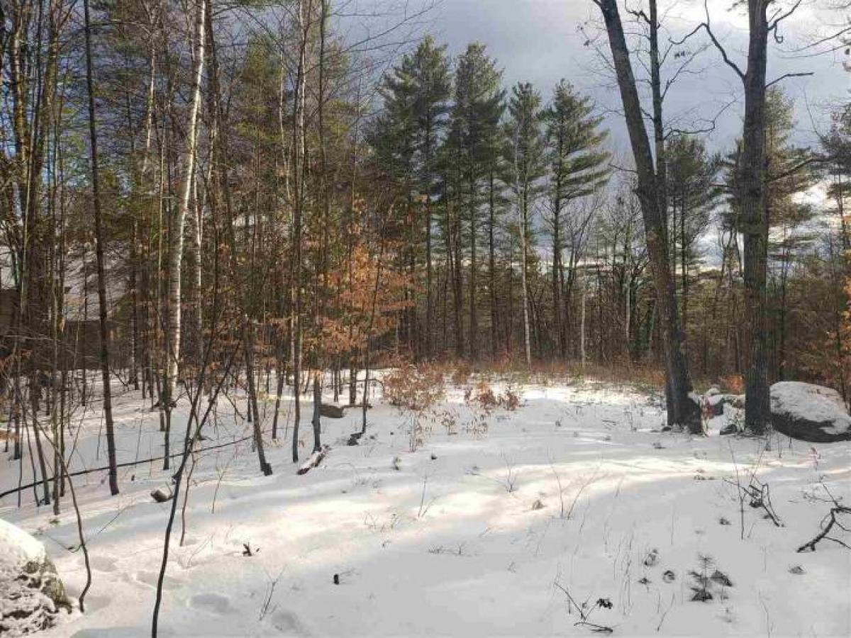 Picture of Residential Land For Sale in Conway, New Hampshire, United States