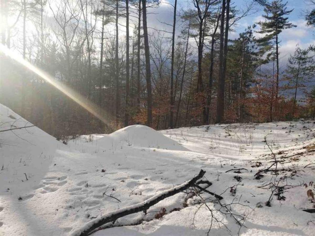 Picture of Residential Land For Sale in Conway, New Hampshire, United States