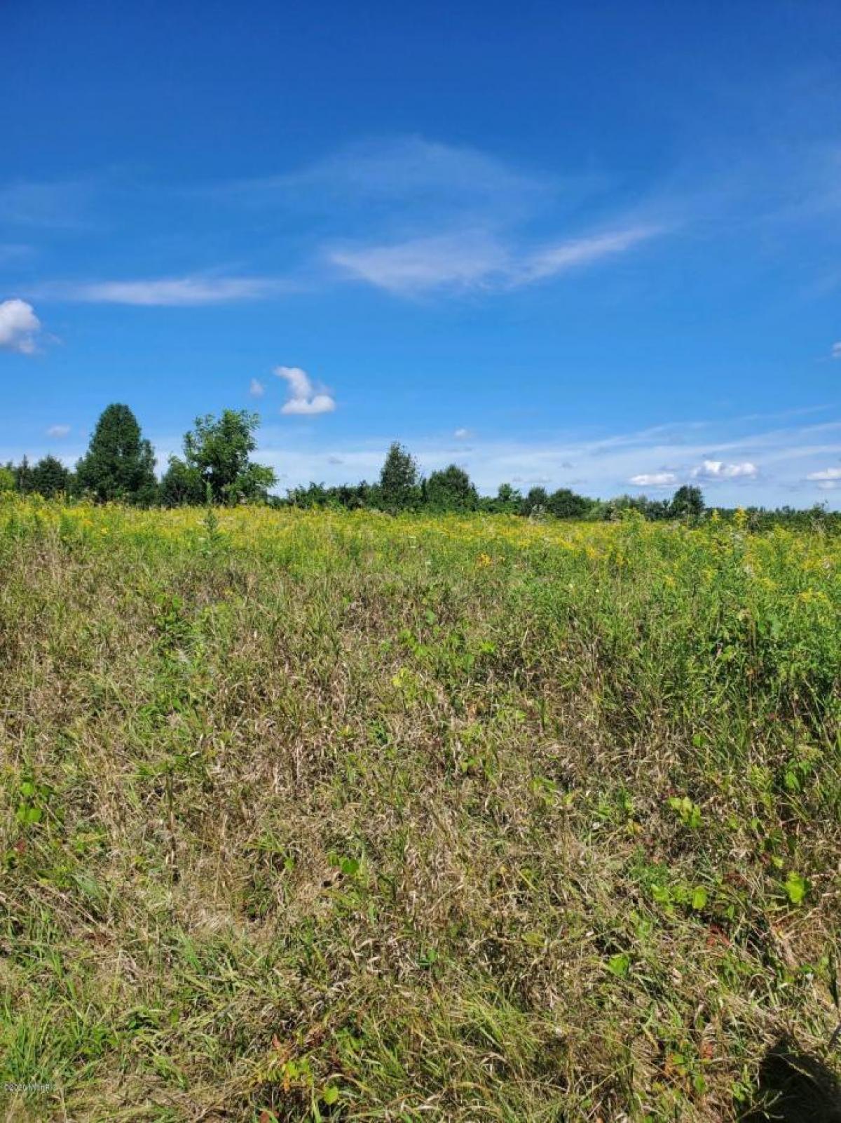 Picture of Residential Land For Sale in Battle Creek, Michigan, United States