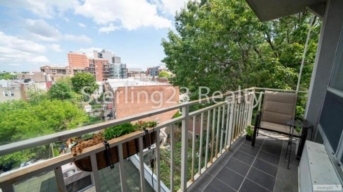 Picture of Apartment For Rent in Long Island City, New York, United States