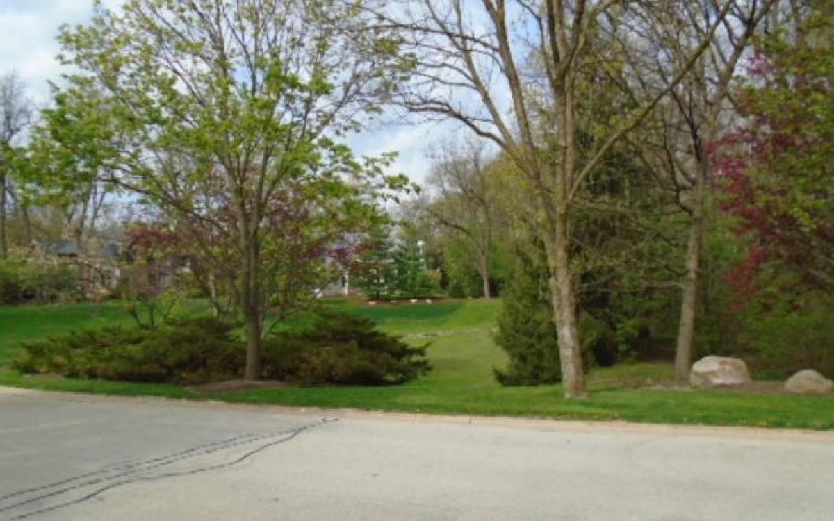 Picture of Residential Land For Sale in Burr Ridge, Illinois, United States