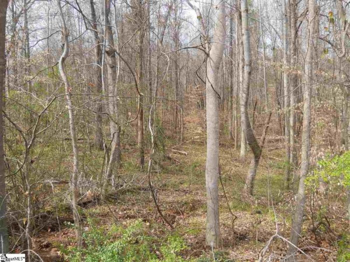 Picture of Residential Land For Sale in Laurens, South Carolina, United States