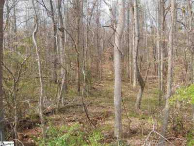 Residential Land For Sale in Laurens, South Carolina