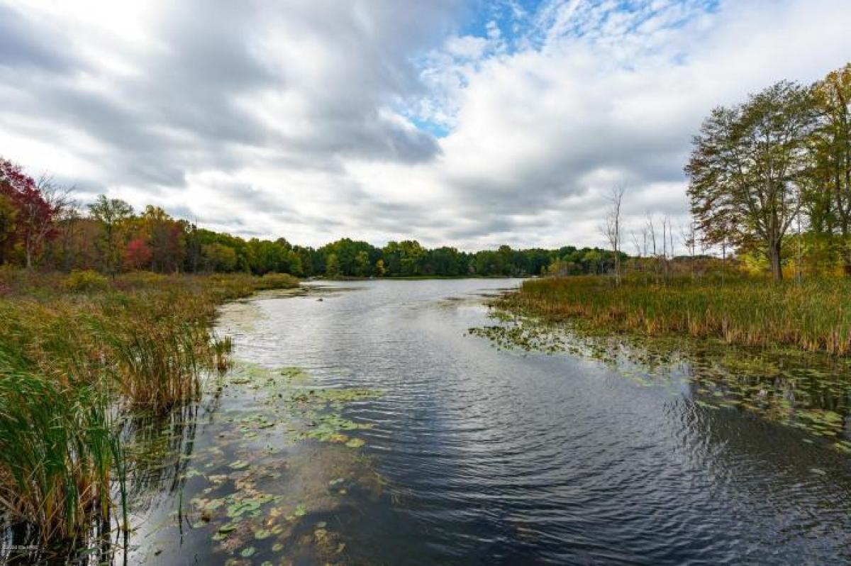 Picture of Residential Land For Sale in Vicksburg, Michigan, United States