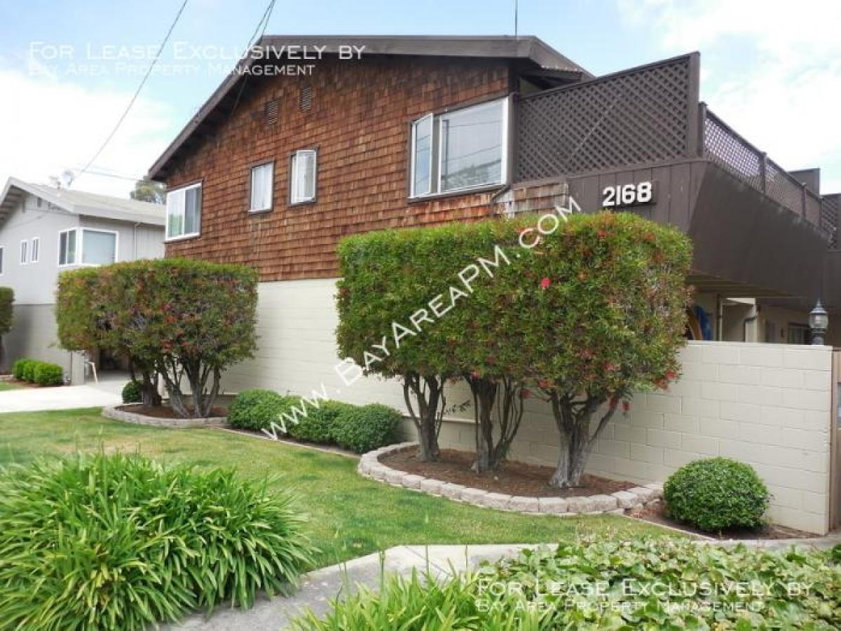 Picture of Apartment For Rent in Belmont, California, United States