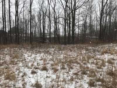 Residential Land For Sale in Three Rivers, Michigan