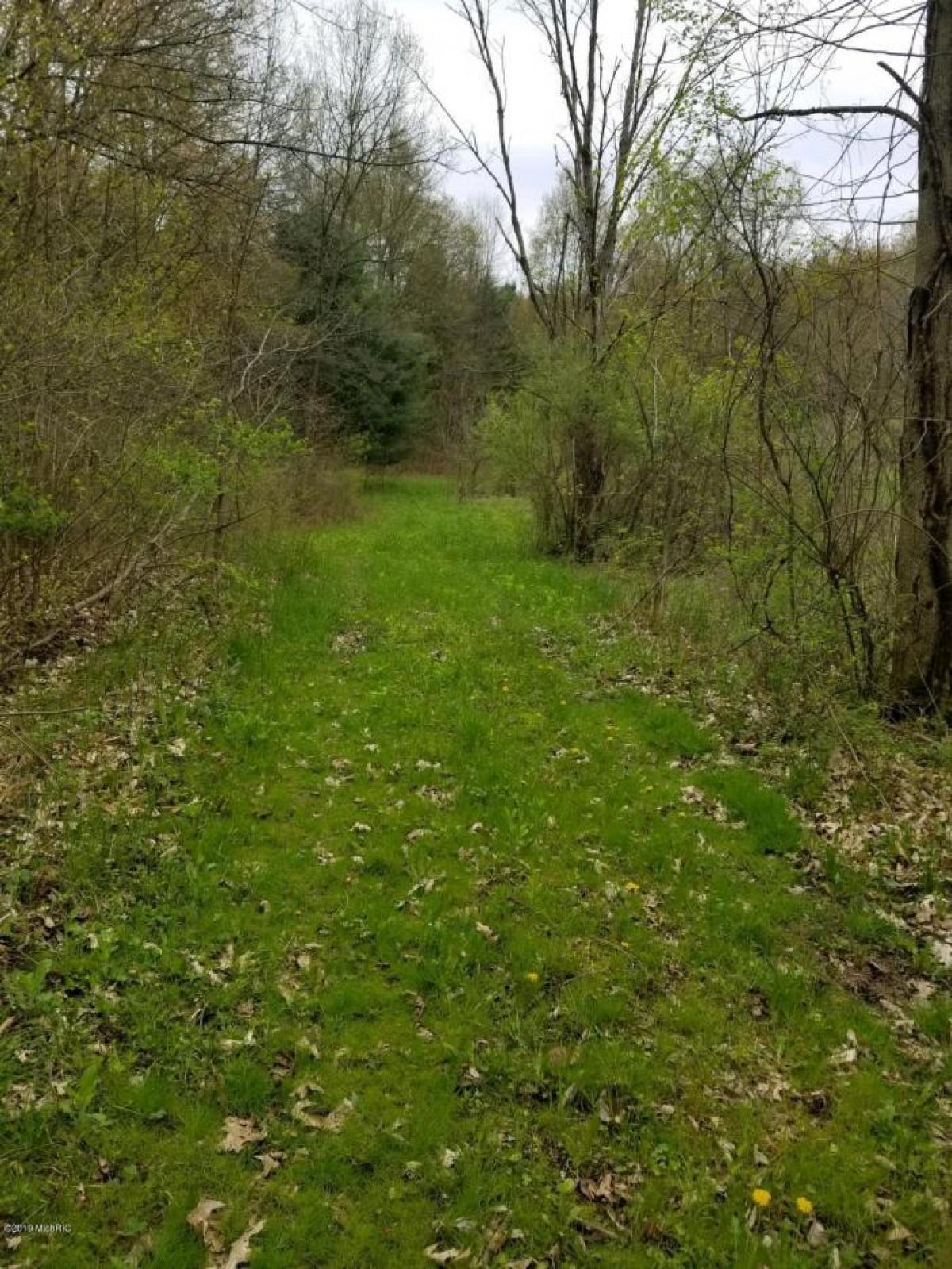 Picture of Residential Land For Sale in Bellevue, Michigan, United States