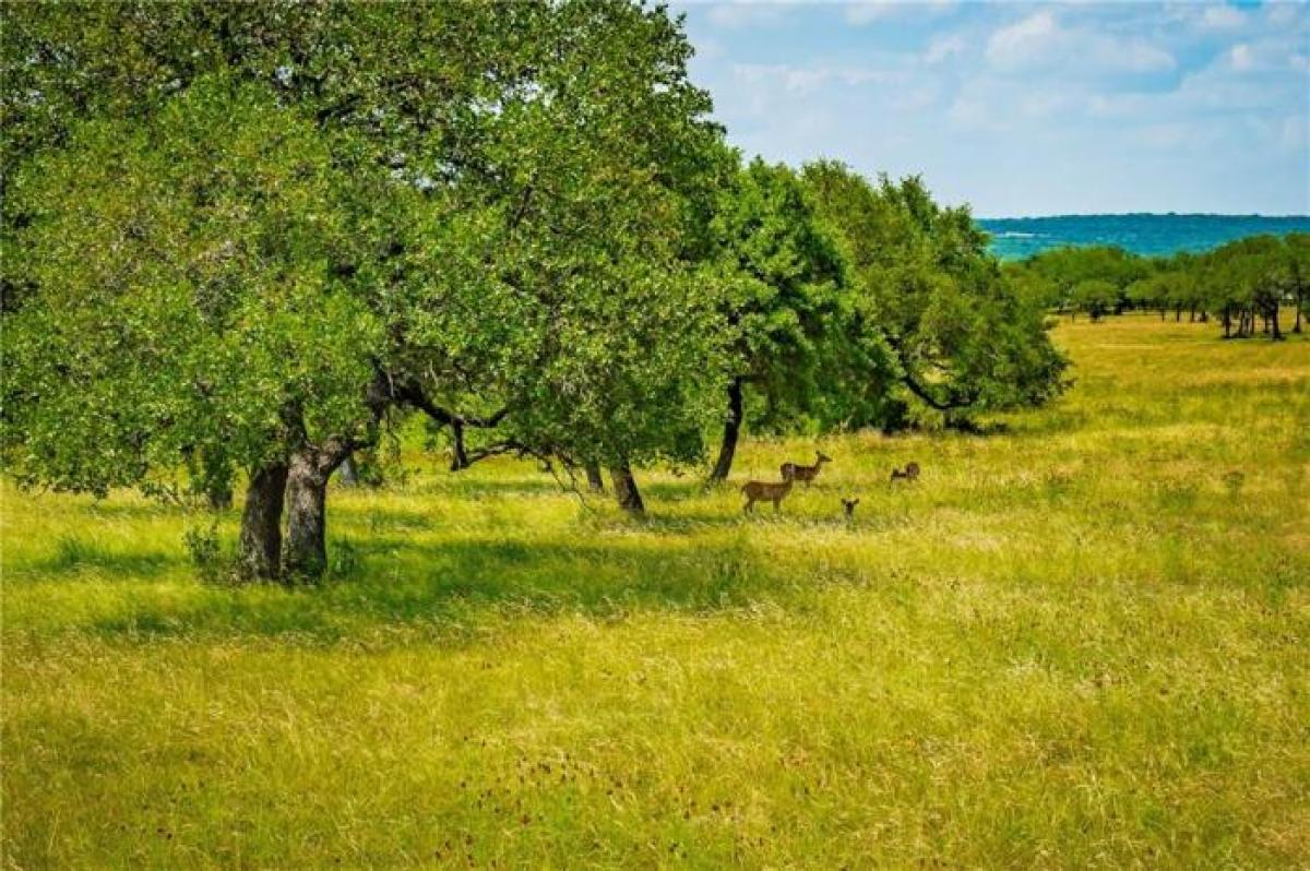 Picture of Residential Land For Sale in Spicewood, Texas, United States