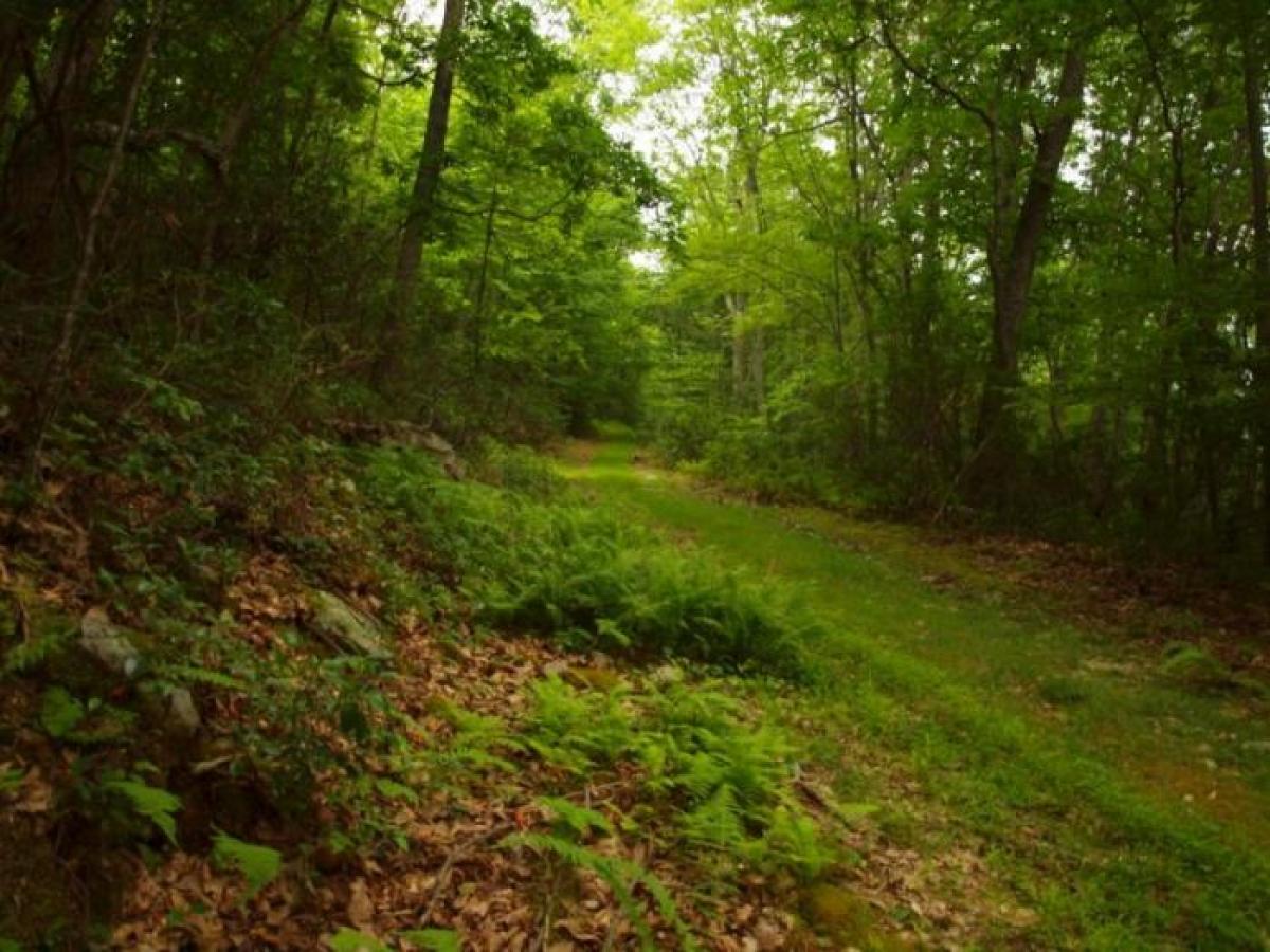 Picture of Home For Sale in Franklin, West Virginia, United States