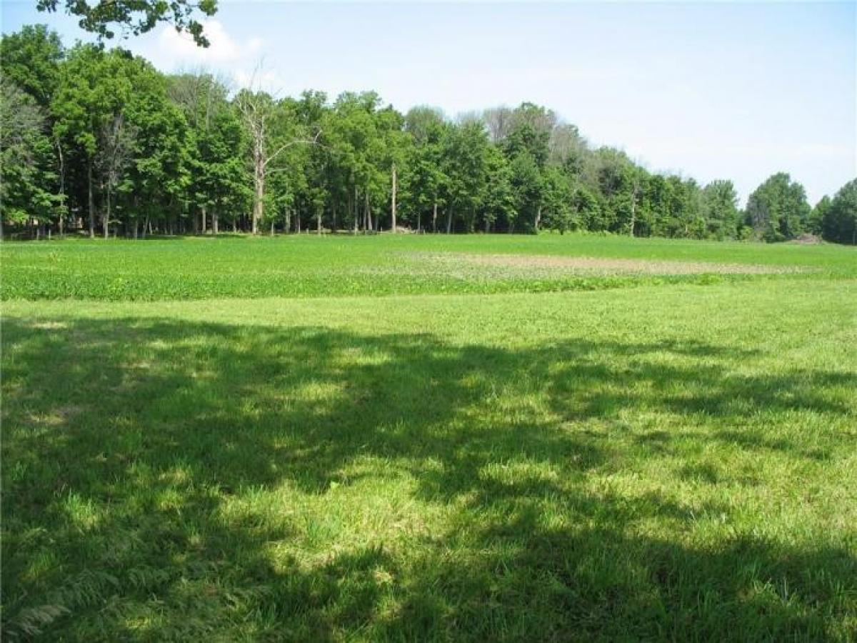 Picture of Residential Land For Sale in Danville, Indiana, United States