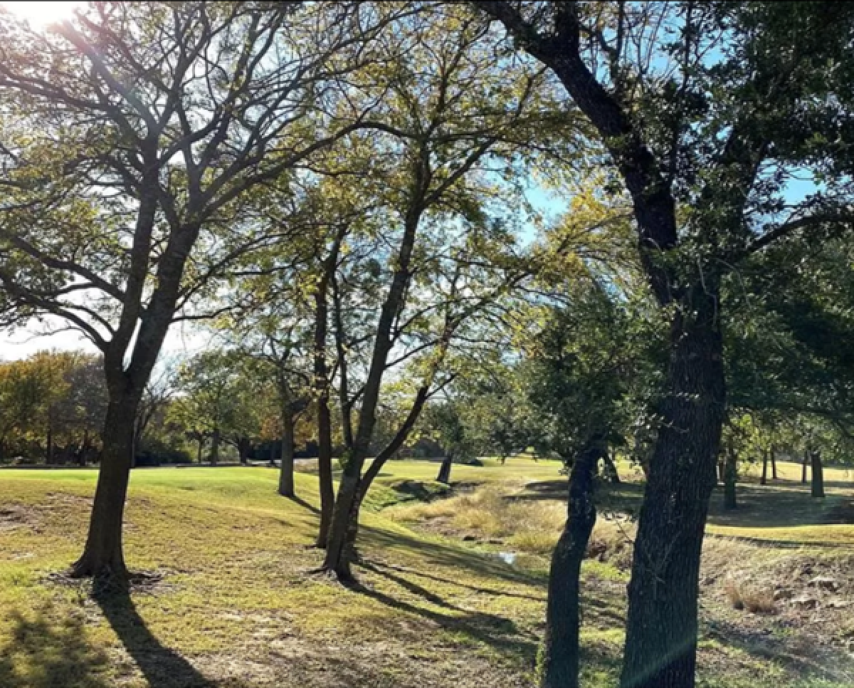 Picture of Residential Land For Sale in Whitney, Texas, United States