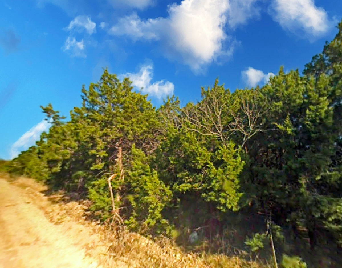 Picture of Residential Land For Sale in Whitney, Texas, United States