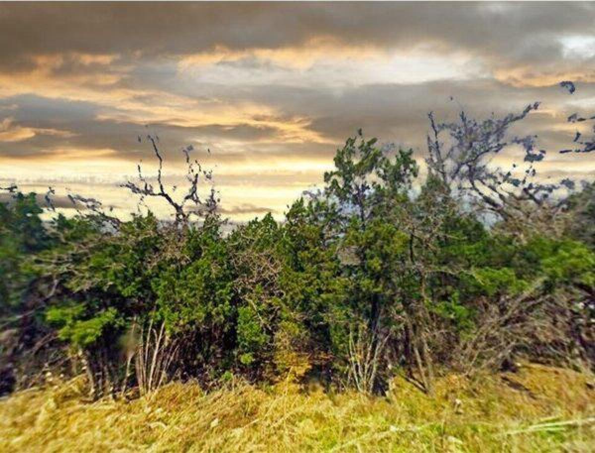 Picture of Residential Land For Sale in Whitney, Texas, United States