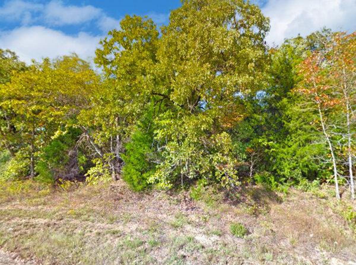 Picture of Residential Land For Sale in Murchison, Texas, United States