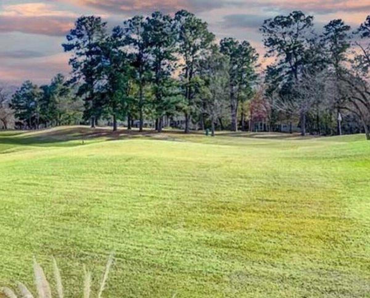 Picture of Residential Land For Sale in Montgomery, Texas, United States