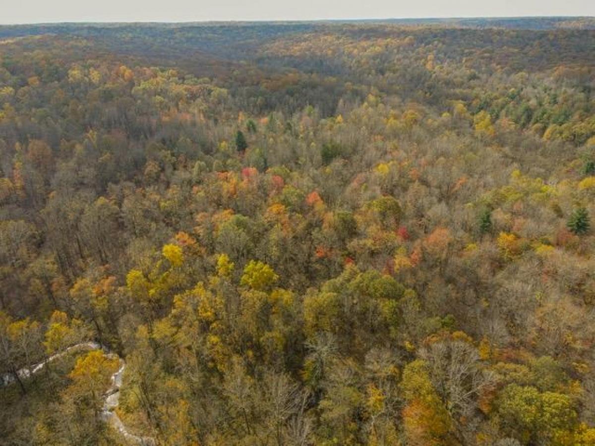 Picture of Residential Land For Sale in Springville, Indiana, United States