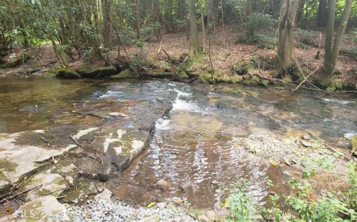 Picture of Residential Land For Sale in Cherry Log, Georgia, United States