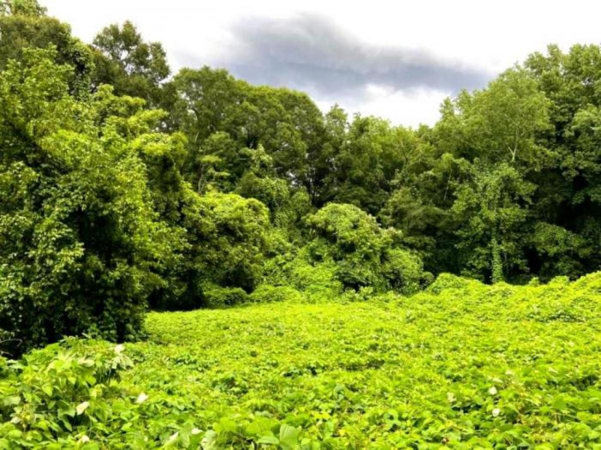 Picture of Residential Land For Sale in Scottdale, Georgia, United States