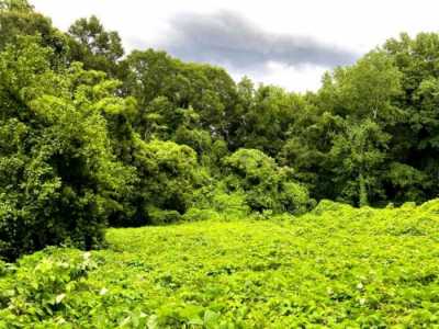 Residential Land For Sale in 