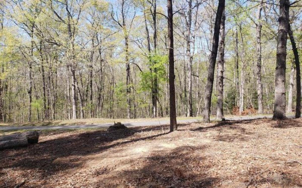 Picture of Residential Land For Sale in Morganton, Georgia, United States