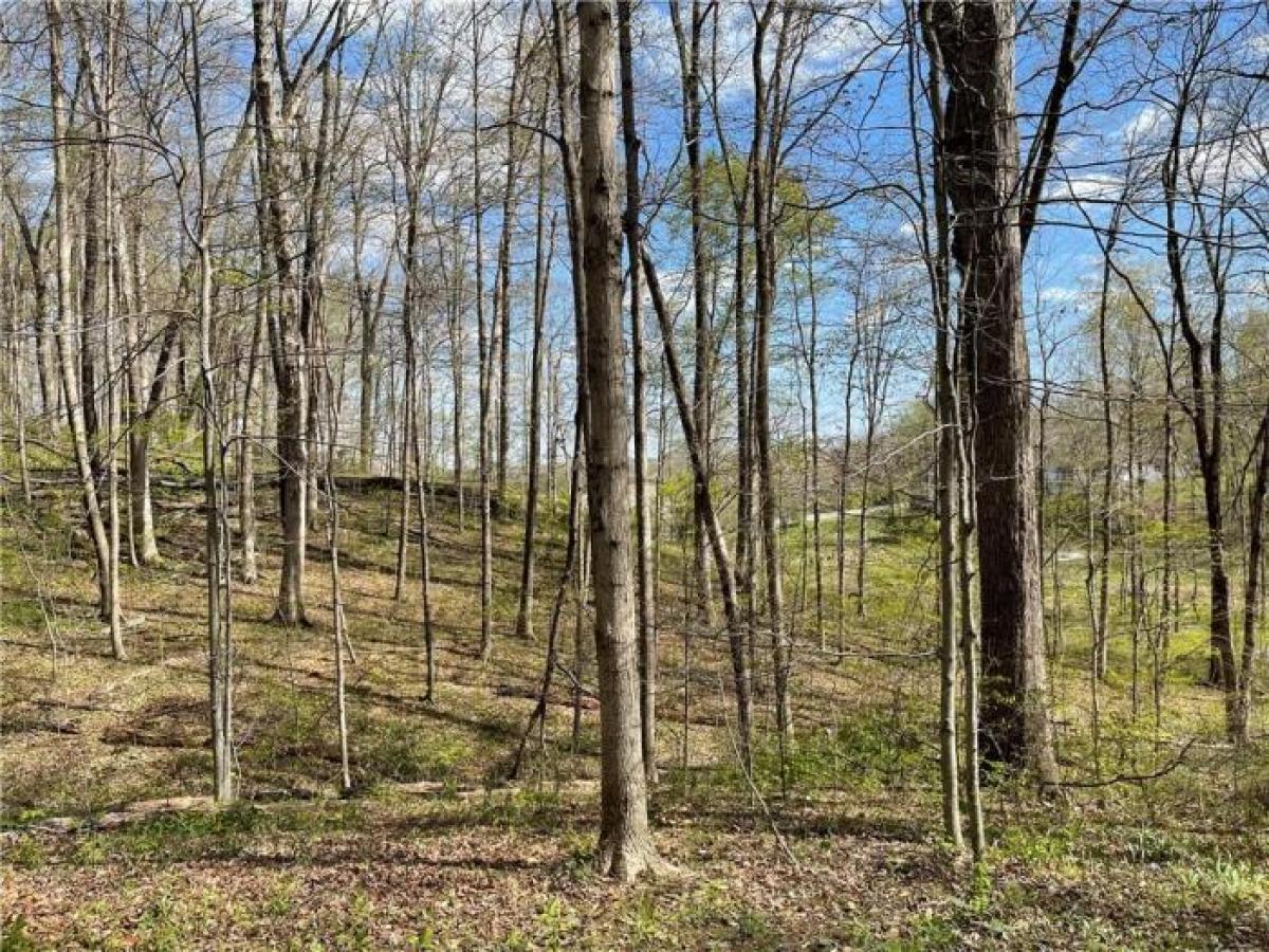 Picture of Residential Land For Sale in Mooresville, Indiana, United States