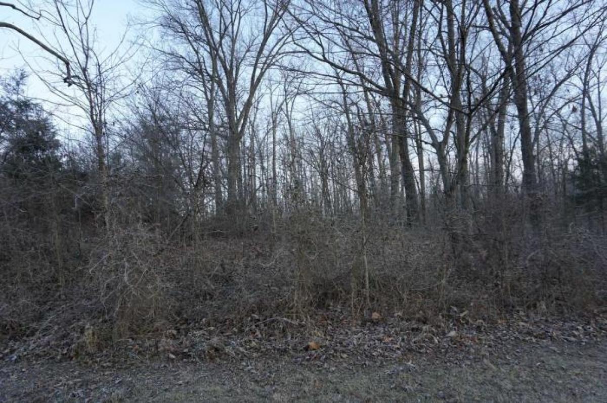 Picture of Residential Land For Sale in Mitchell, Indiana, United States