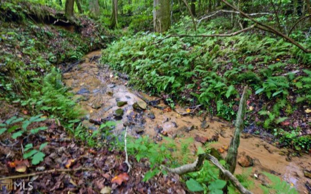 Picture of Farm For Sale in Tallulah Falls, Georgia, United States