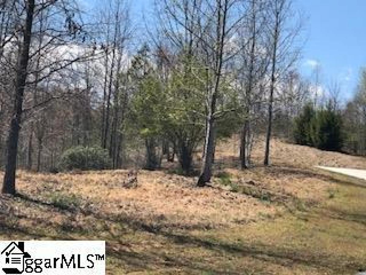 Picture of Residential Land For Sale in Marietta, South Carolina, United States