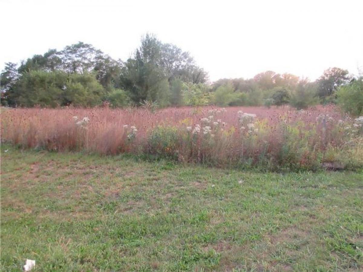 Picture of Residential Land For Sale in Shelbyville, Indiana, United States