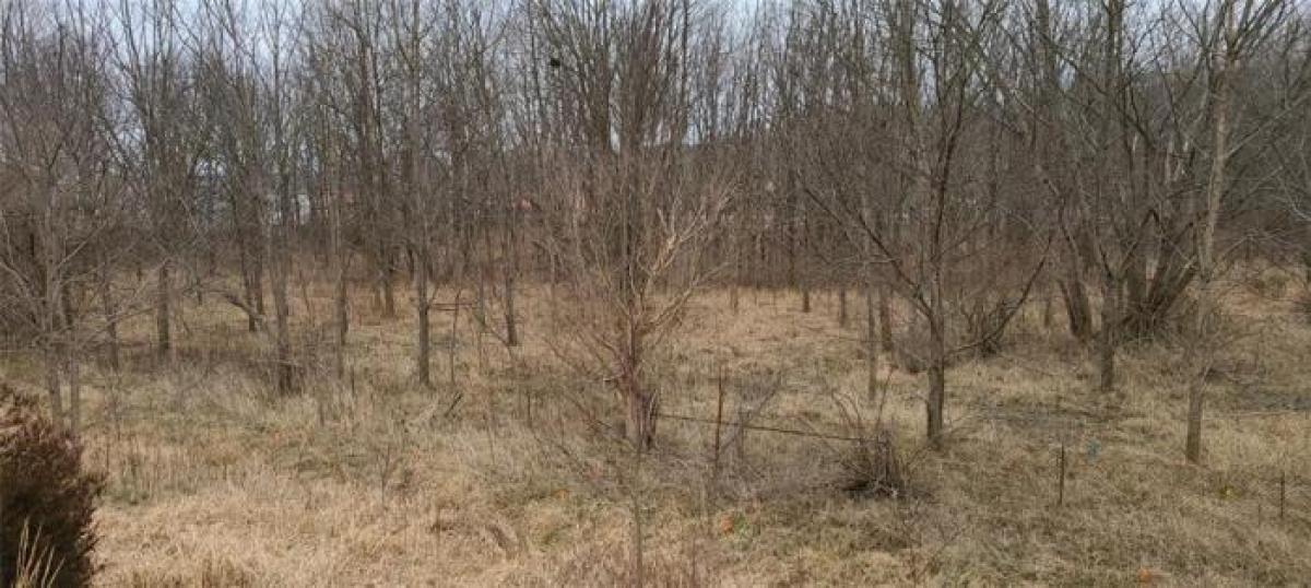 Picture of Residential Land For Sale in Nashville, Indiana, United States