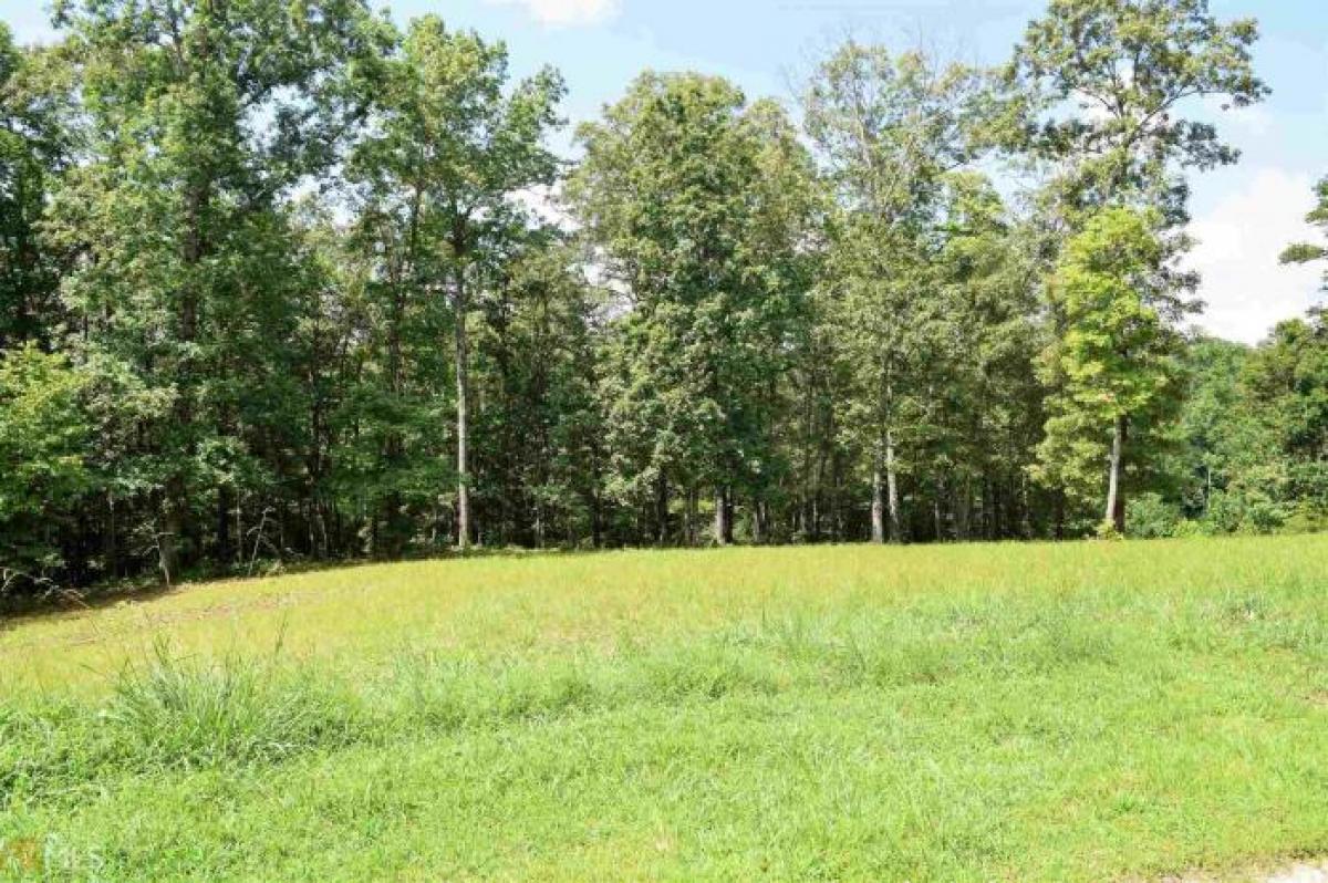 Picture of Residential Land For Sale in Demorest, Georgia, United States