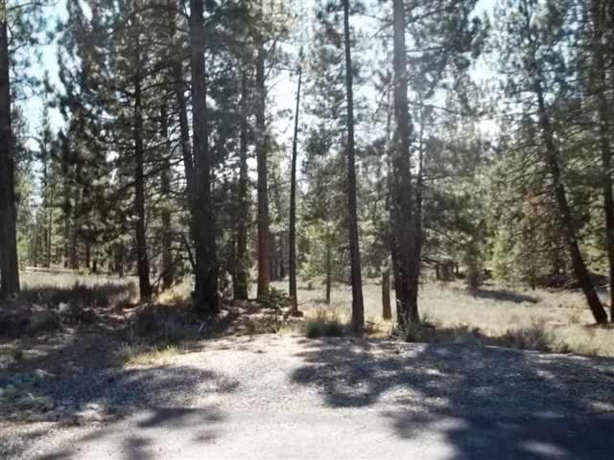 Picture of Residential Land For Sale in Truckee, California, United States