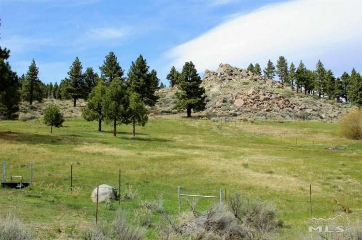 Picture of Residential Land For Sale in Washoe Valley, Nevada, United States