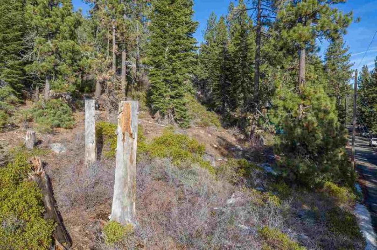 Picture of Residential Land For Sale in Truckee, California, United States