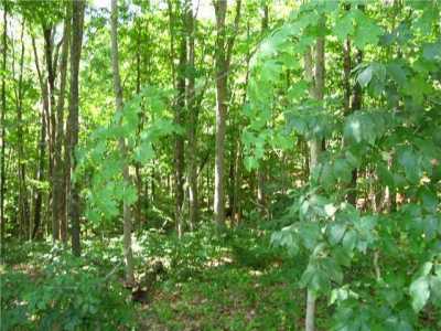 Residential Land For Sale in 