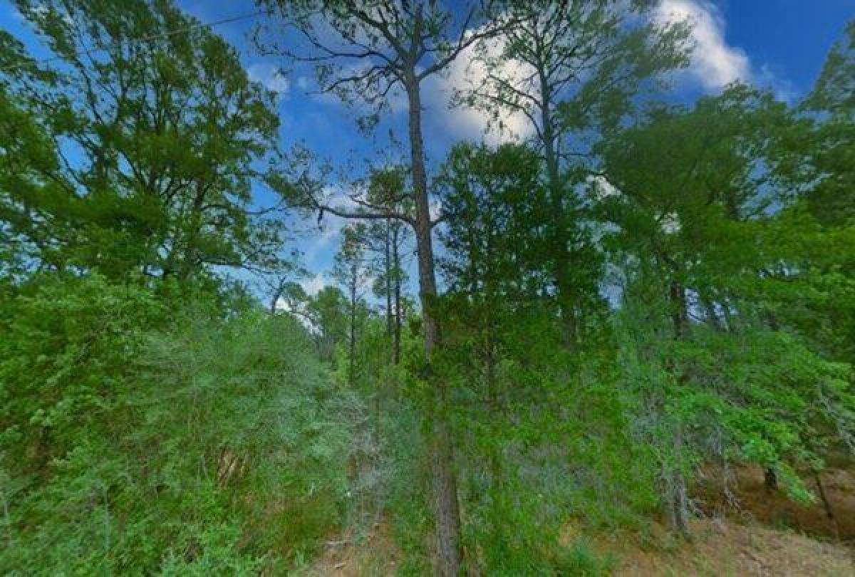 Picture of Residential Land For Sale in Bastrop, Texas, United States