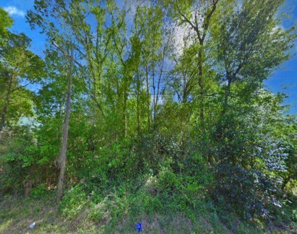 Picture of Residential Land For Sale in Liberty, Texas, United States