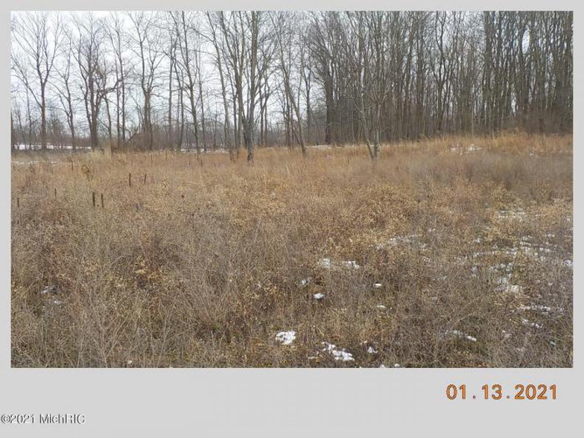 Picture of Residential Land For Sale in Lawton, Michigan, United States