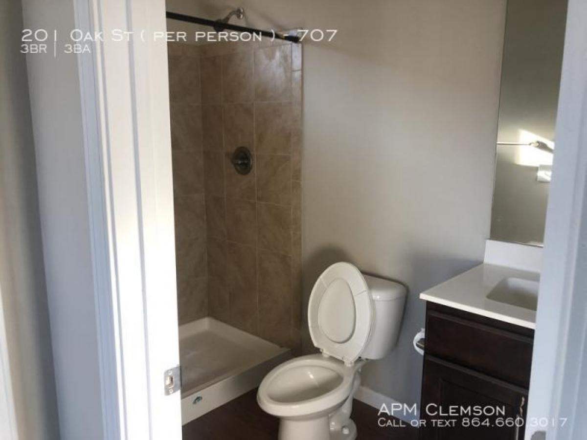 Picture of Apartment For Rent in Clemson, South Carolina, United States