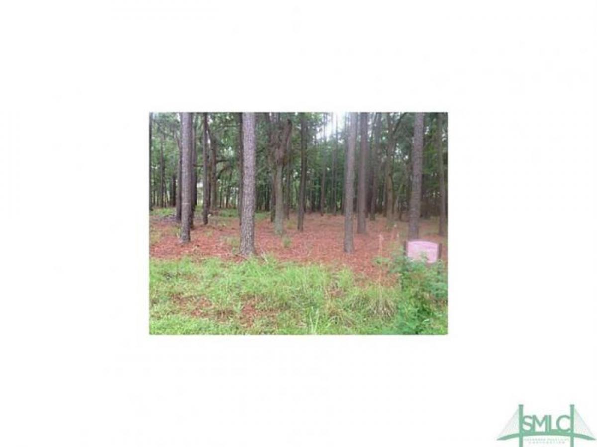 Picture of Residential Land For Sale in Riceboro, Georgia, United States