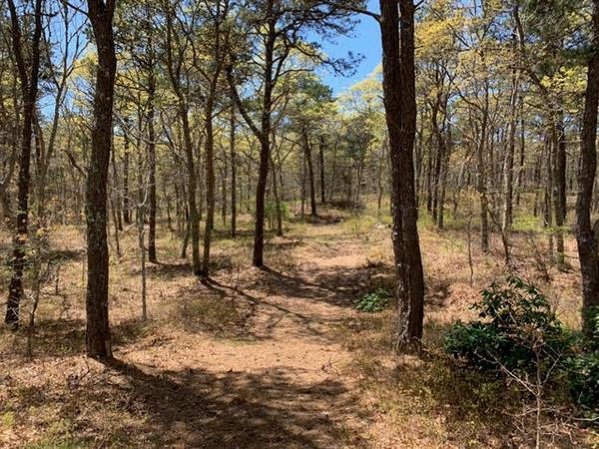 Picture of Residential Land For Sale in Barnstable, Massachusetts, United States